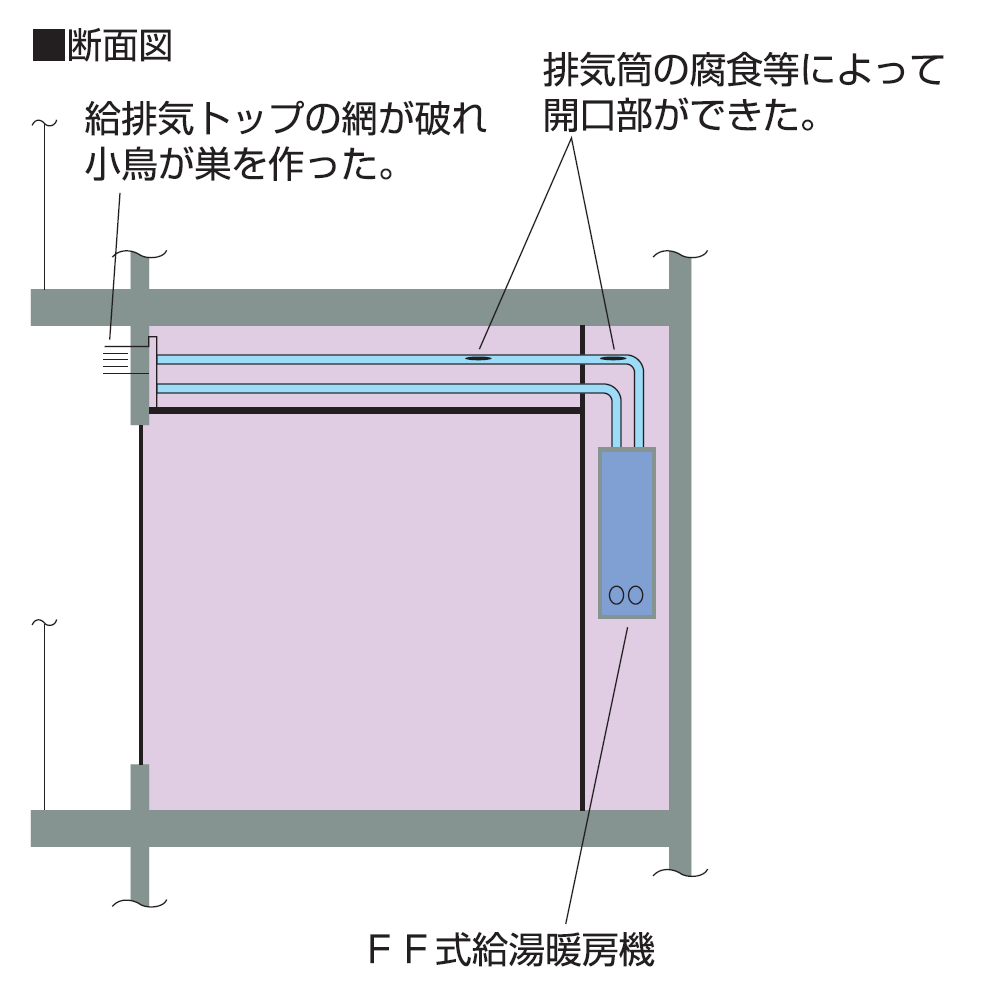 海外限定 パロマ ガス給湯器用 給排気トップ 二重管煙突セット